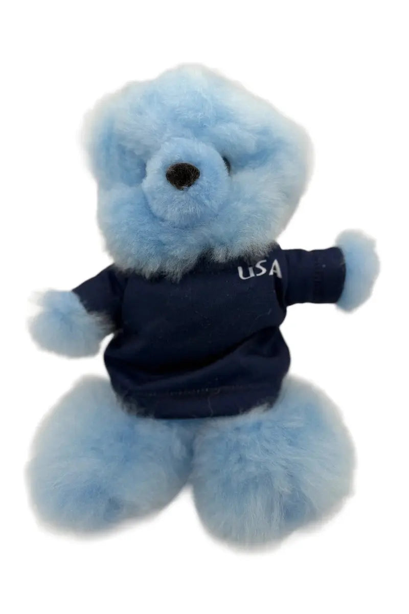 Team bears- USA from Qiviuk Boutique