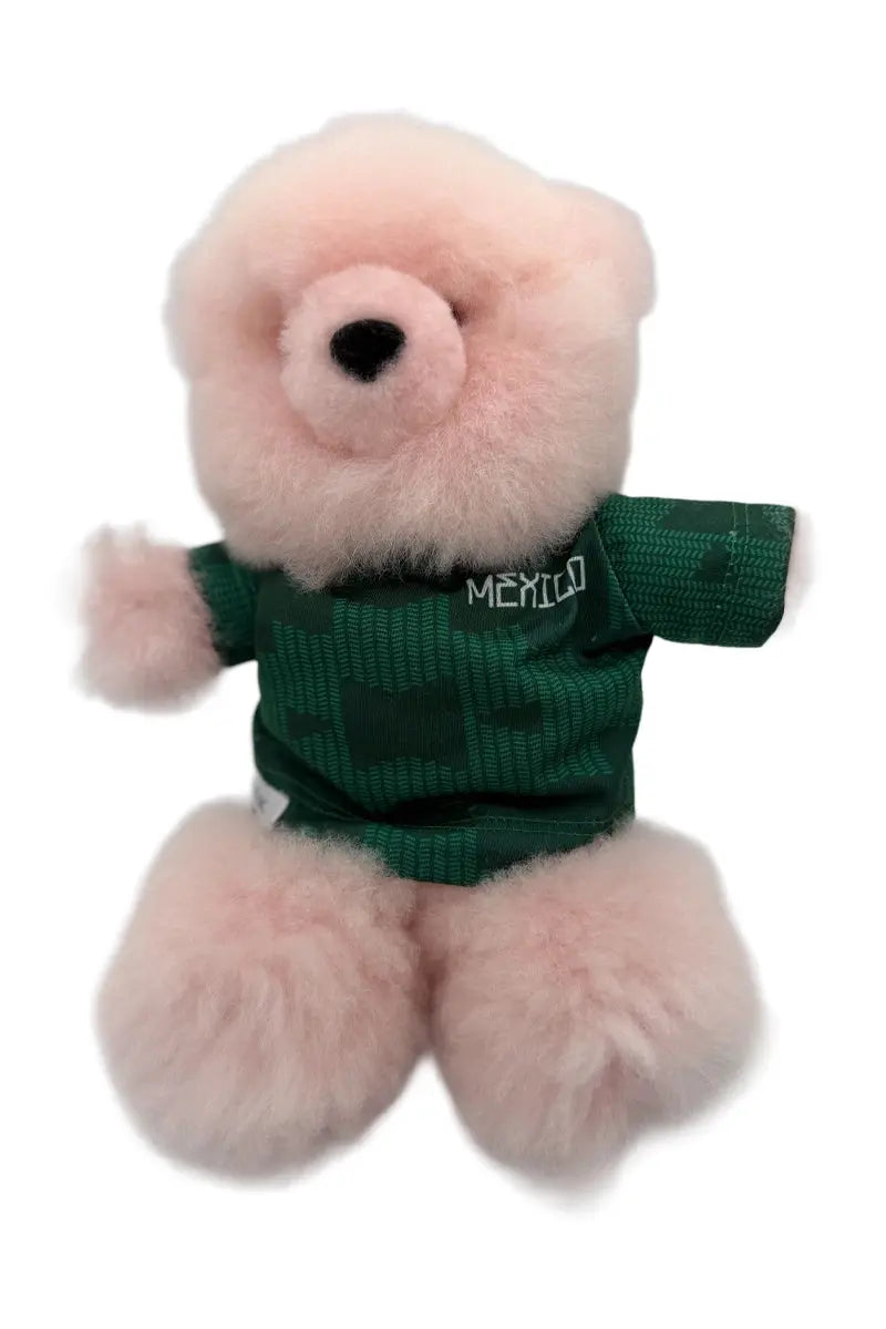 Team bears- Mexico from Qiviuk Boutique